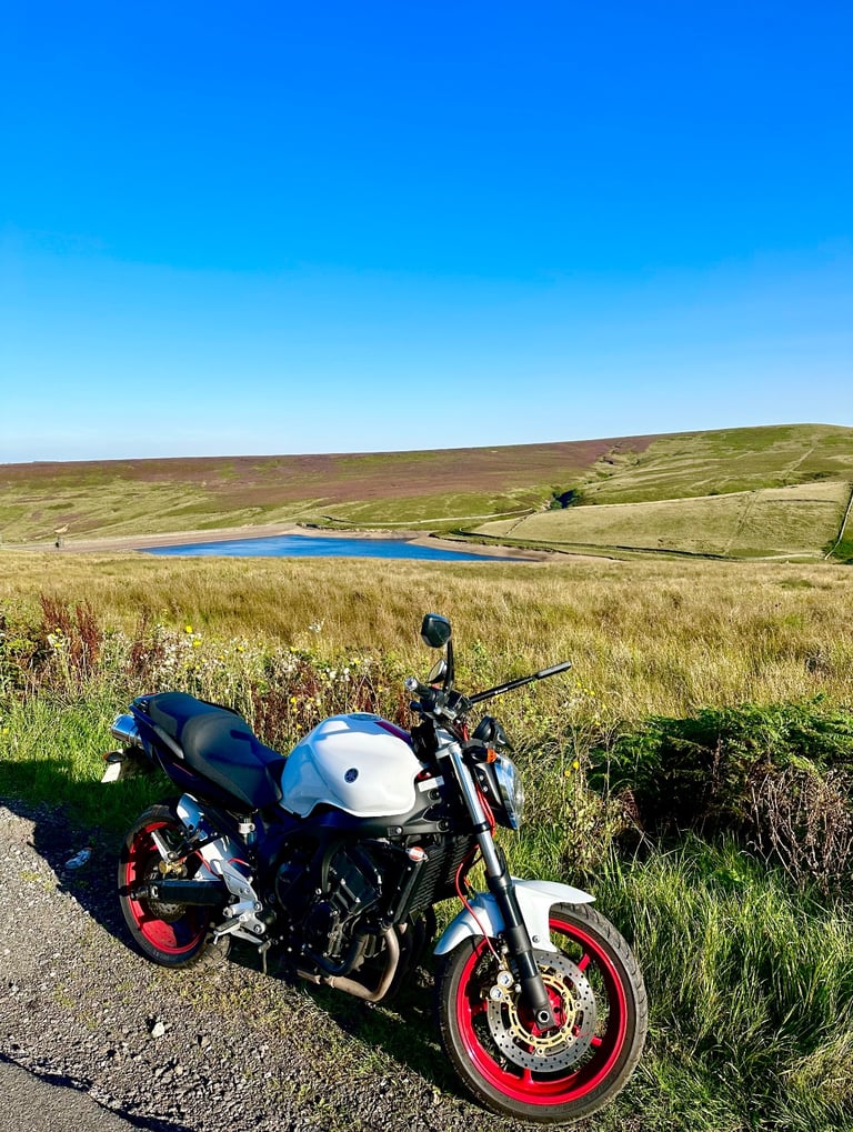 Yamaha, FZ 6, 2008, 599 (cc)