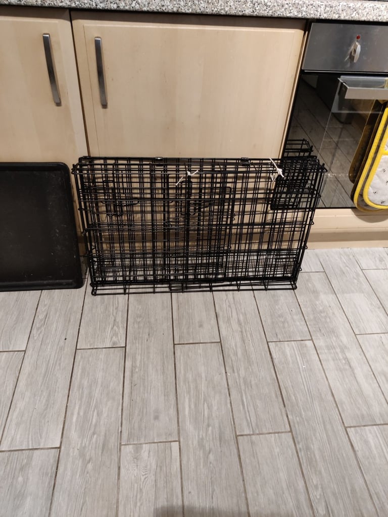 Dog cage and cover (my dog is miniature poodle size and there was ample space for him).
