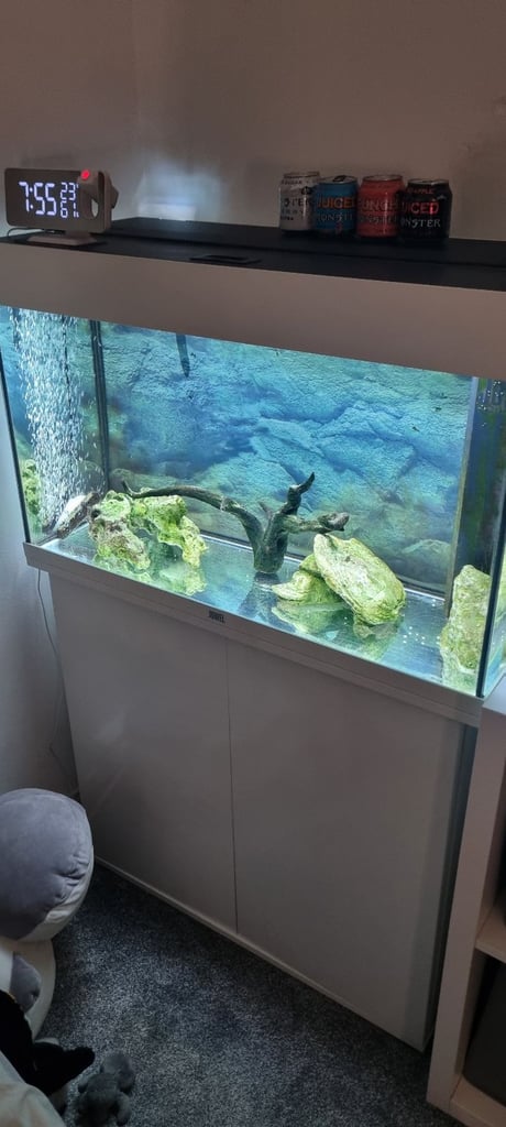 Juwel rio 120l tank with lots of extras 