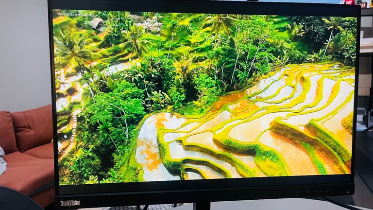 image for Lenovo LCD monitor 