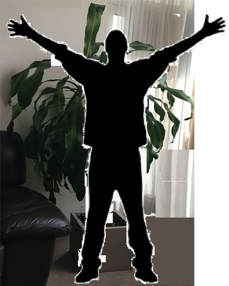 image for Massive Corn Plant only £70