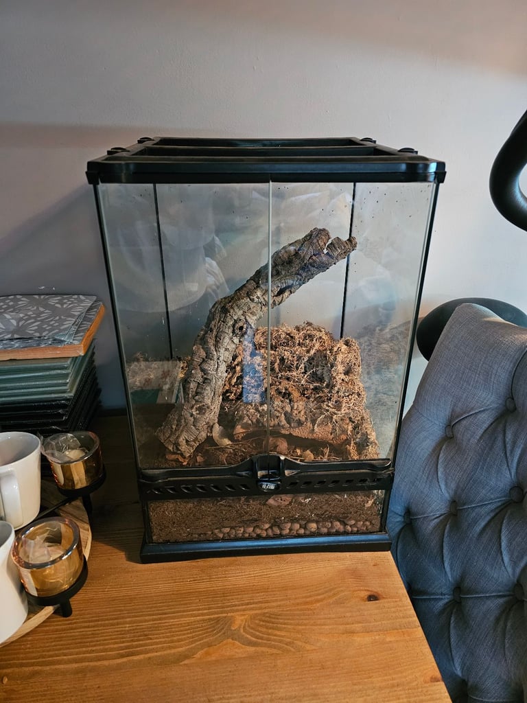 Exo terra glass tank enclosure terranium for frogs, spider or juvenile cresties