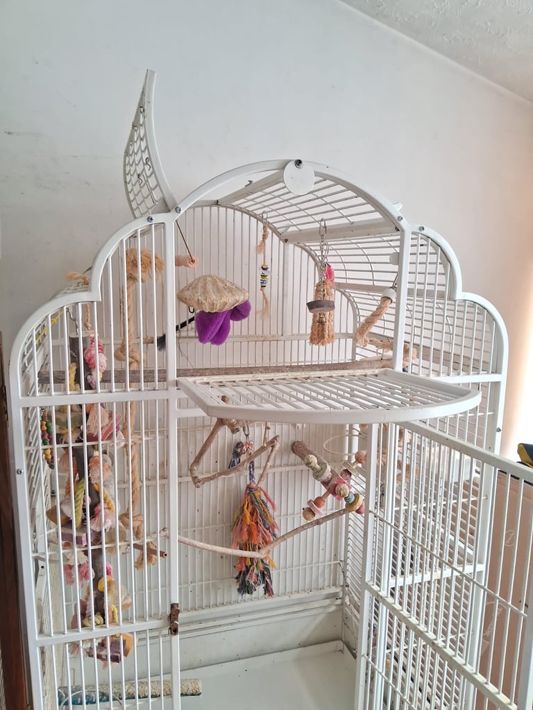 Extra large bird cage (5feet high and 2.5feet wide)