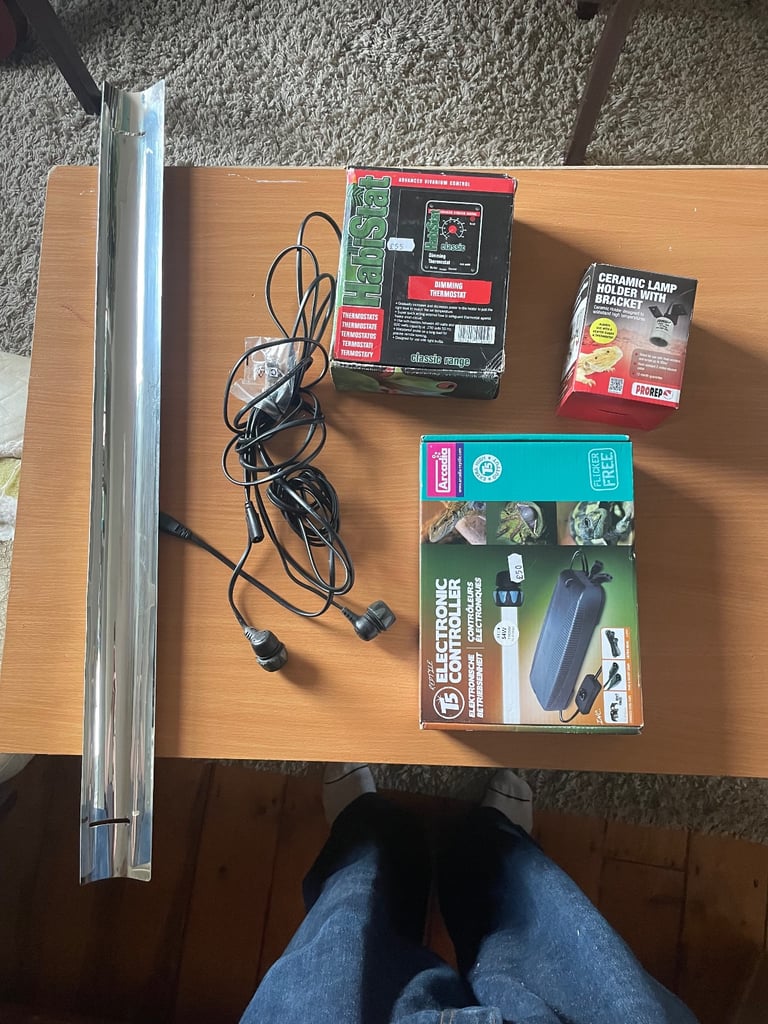 Reptile vivarium setup