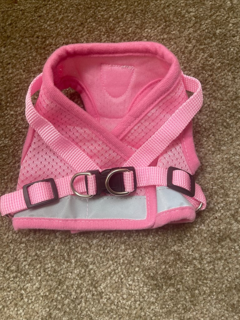 Dog Harness for Small Dog - size S