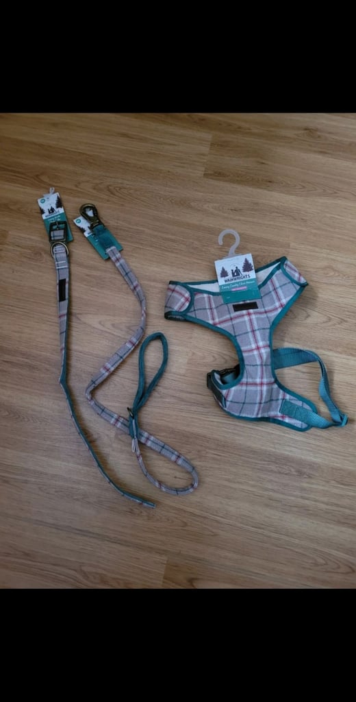 Dog Harness Set