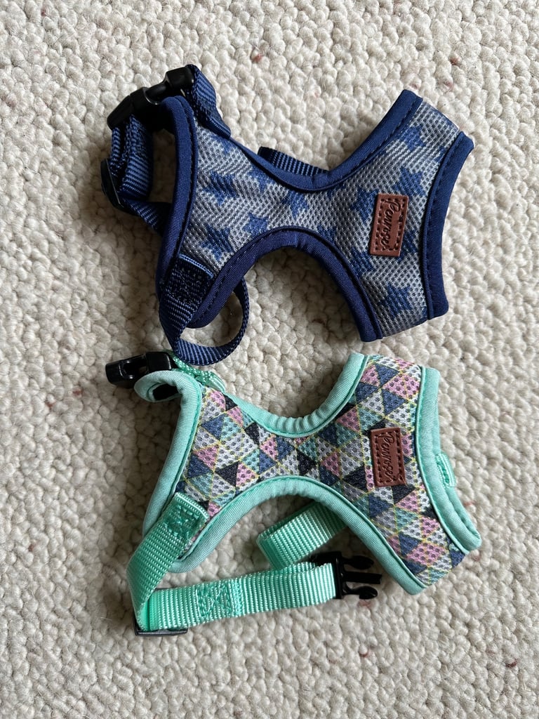 Toy Dog Harness