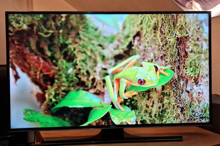Smart TV Samsung 50 inch GOOD WORKING 
