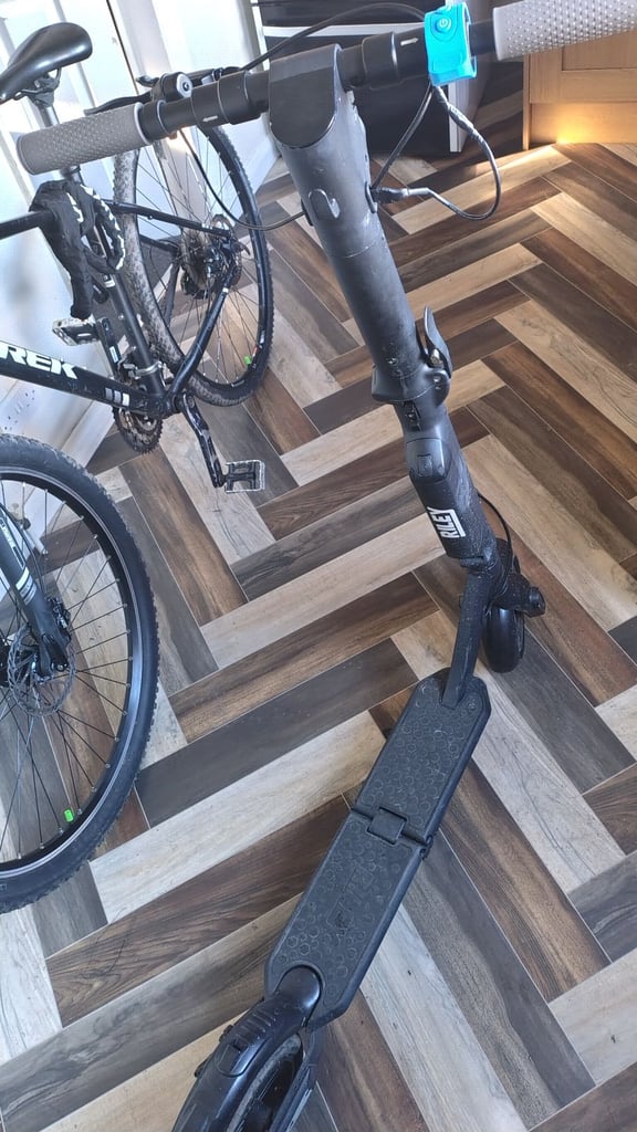 image for Riley e scooter 