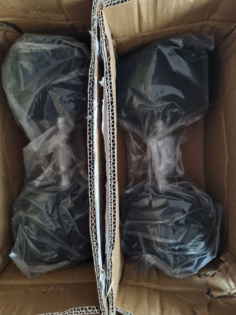 20kg pair