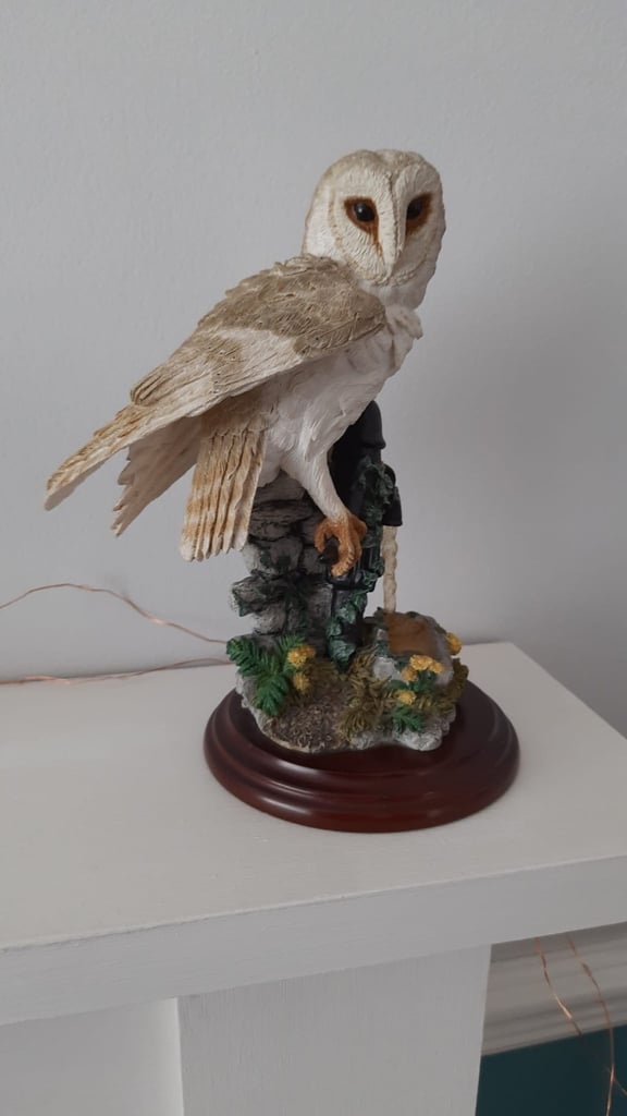 image for Country Artists Barn Owl on Water Pump