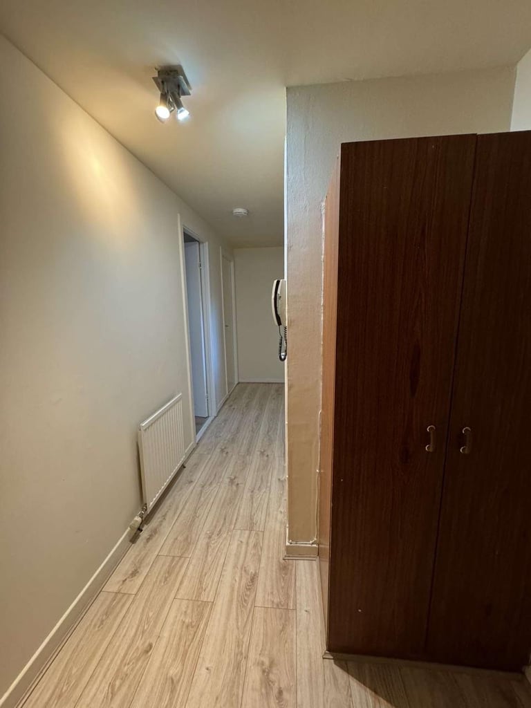Need a Female roommate