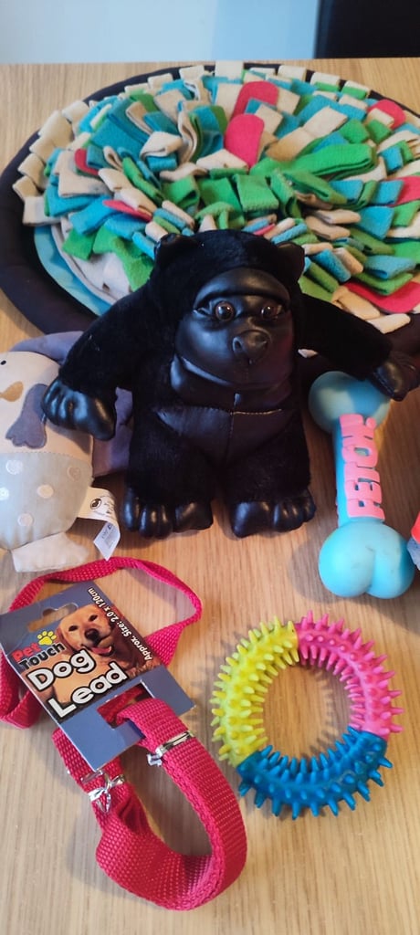 Dog Toys, Lead, Life Jacket, Snuffle Feeding mat