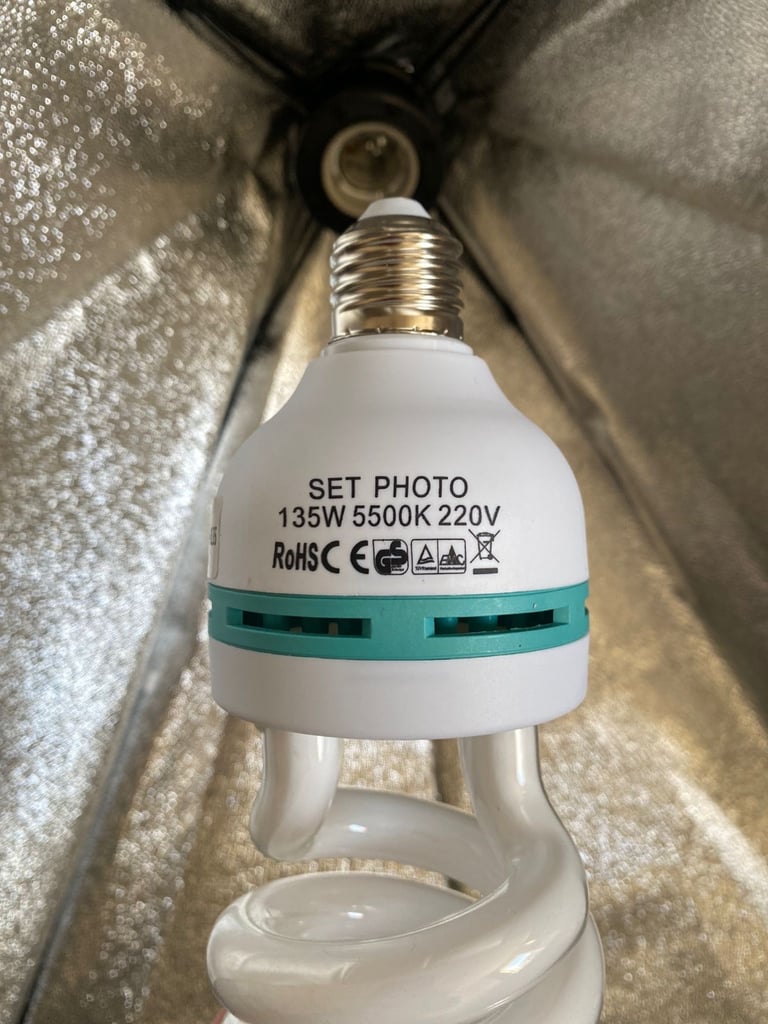 Studio Light Set