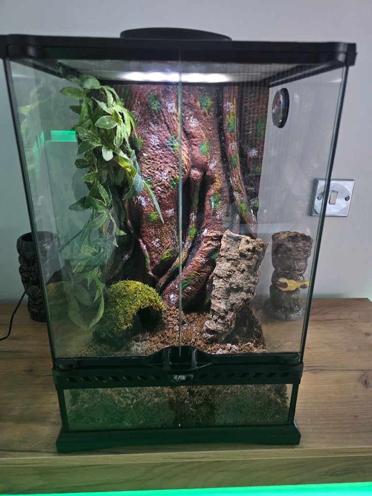 exo terra tank
