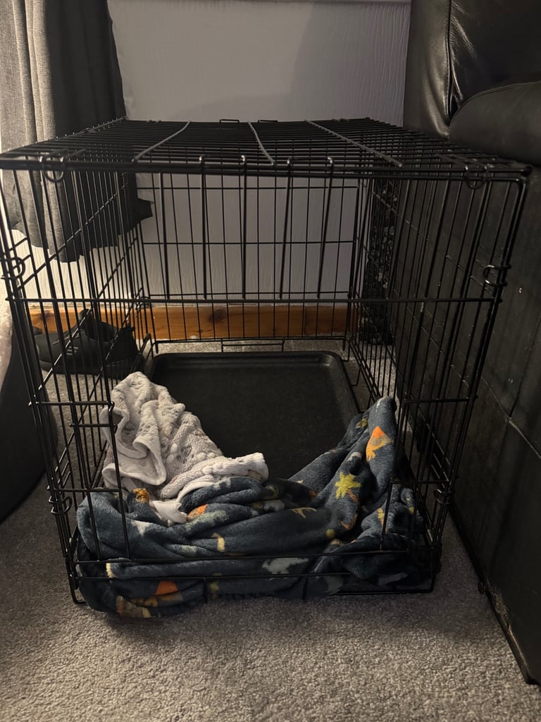 Small Dog Crate With Cover and Brand New Dog Blanket 