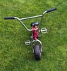 Venom mini rocker BMX Bike