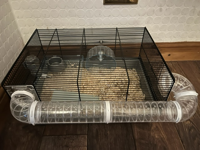 Hamster cage plus accessories