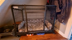 Large Dog Crate with bed