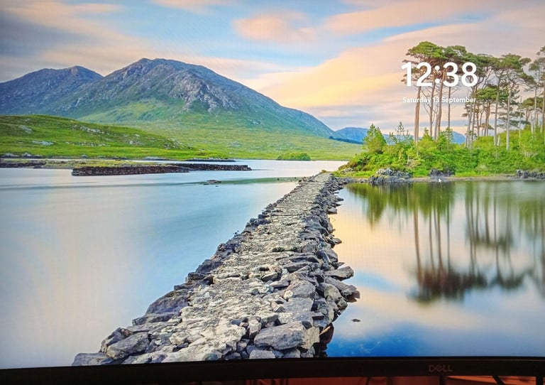 DELL FULL PC PACKAGE MEGA DEAL 34 inch curved screen - i5 10th computer package 