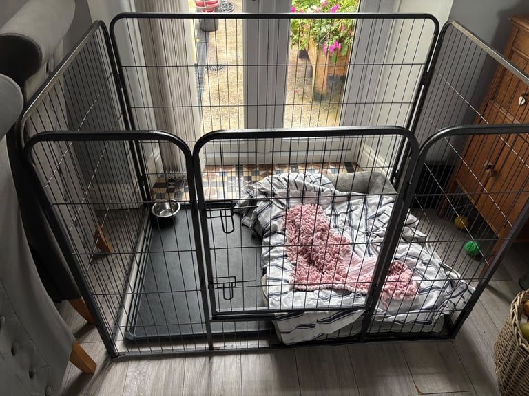 image for Dog cage