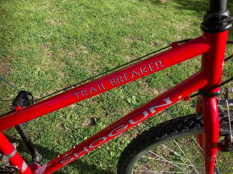 Girls trail breaker mountain bike 