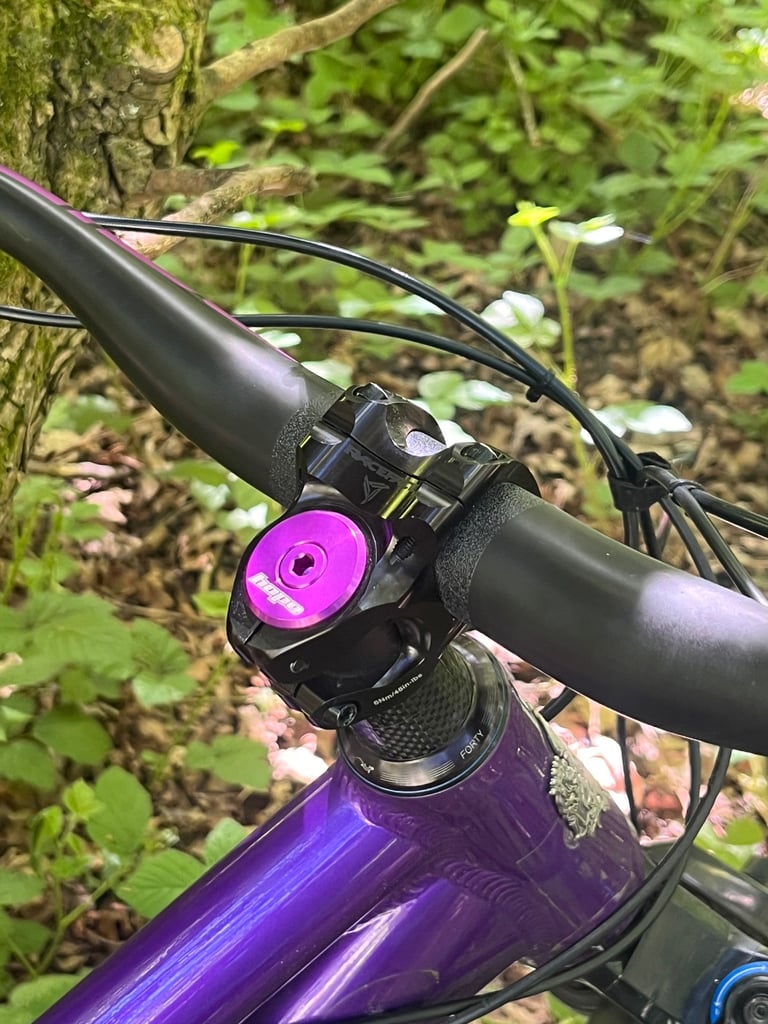 Custom Ragley mmmbop