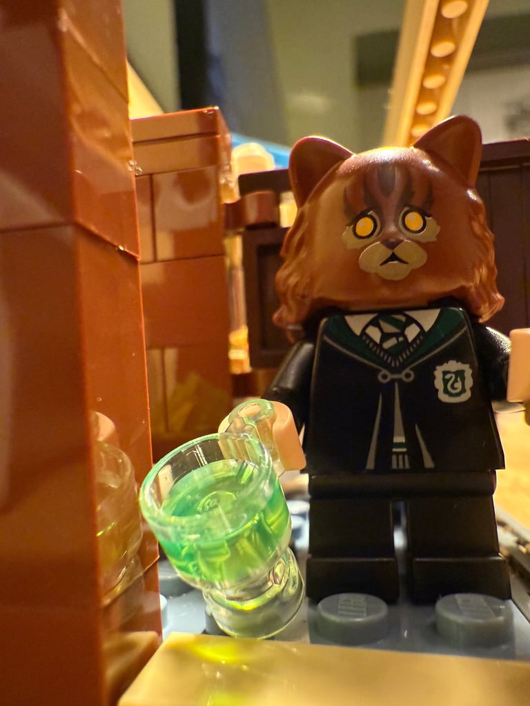 Harry Potter Lego - Hogwarts Polyjuice Potion Mistake 76386