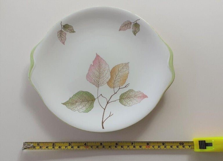 Royal Standard Fine Bone China Tea Set. Unusual pattern.
