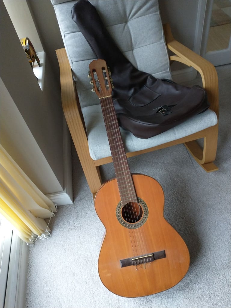 Acoustic guitar and case