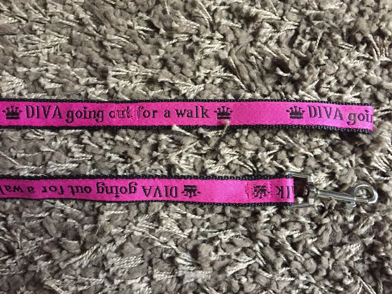 image for Diva Dog Lead. 46" approx long. As New 