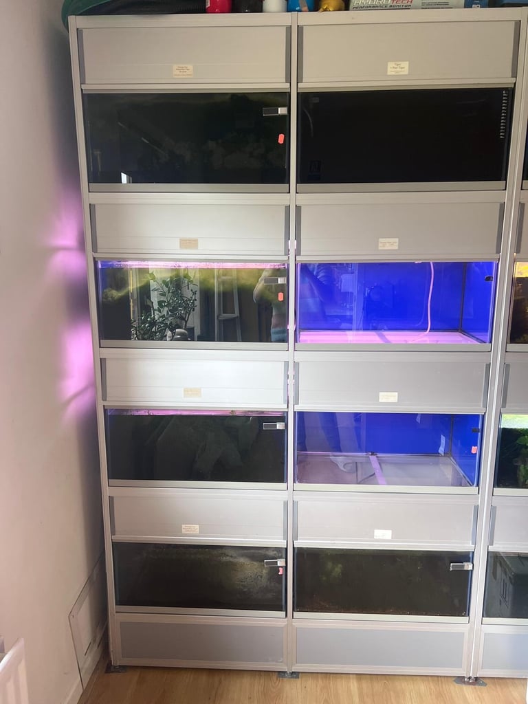Fish tank rack with 8 fish tanks