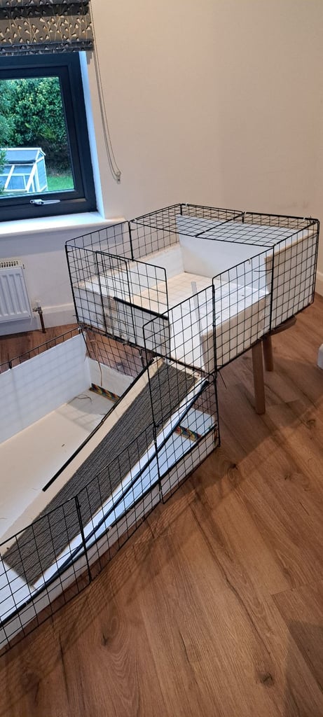 Guinea pig indoor large run C&C type