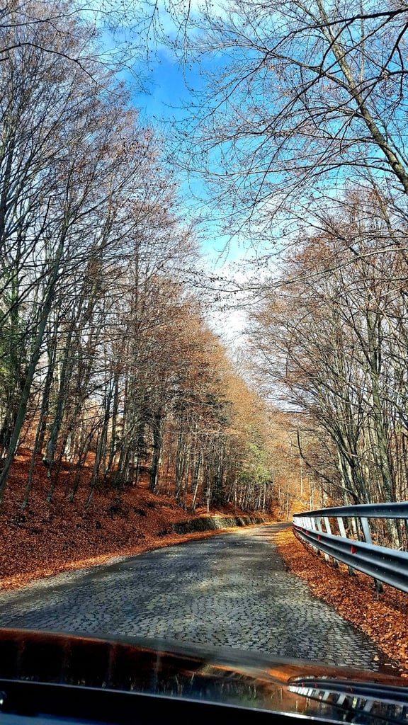 image for Professional Massage Therapy