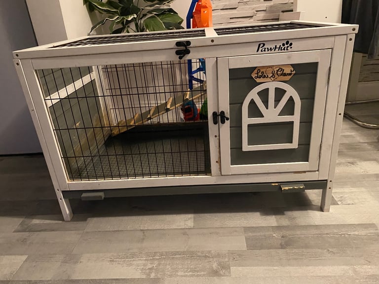 Rabbit hutch FREE