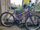 ladies purple mountain bike 