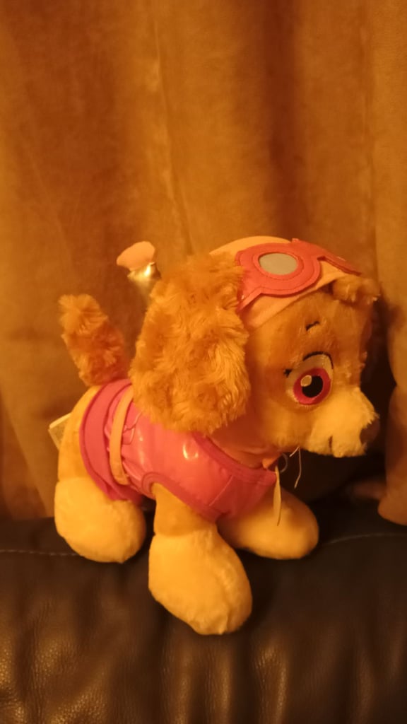 Build a bear sky ex condition as new £10