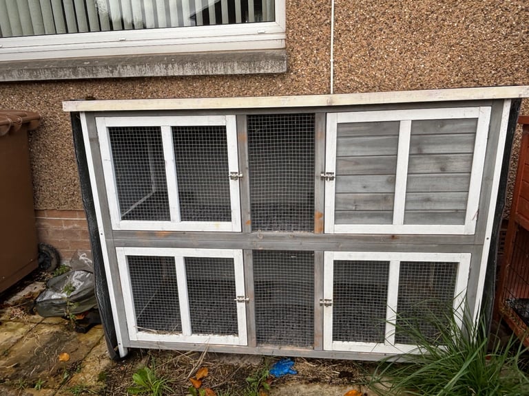 Large rabbit/ guinea pig hutch