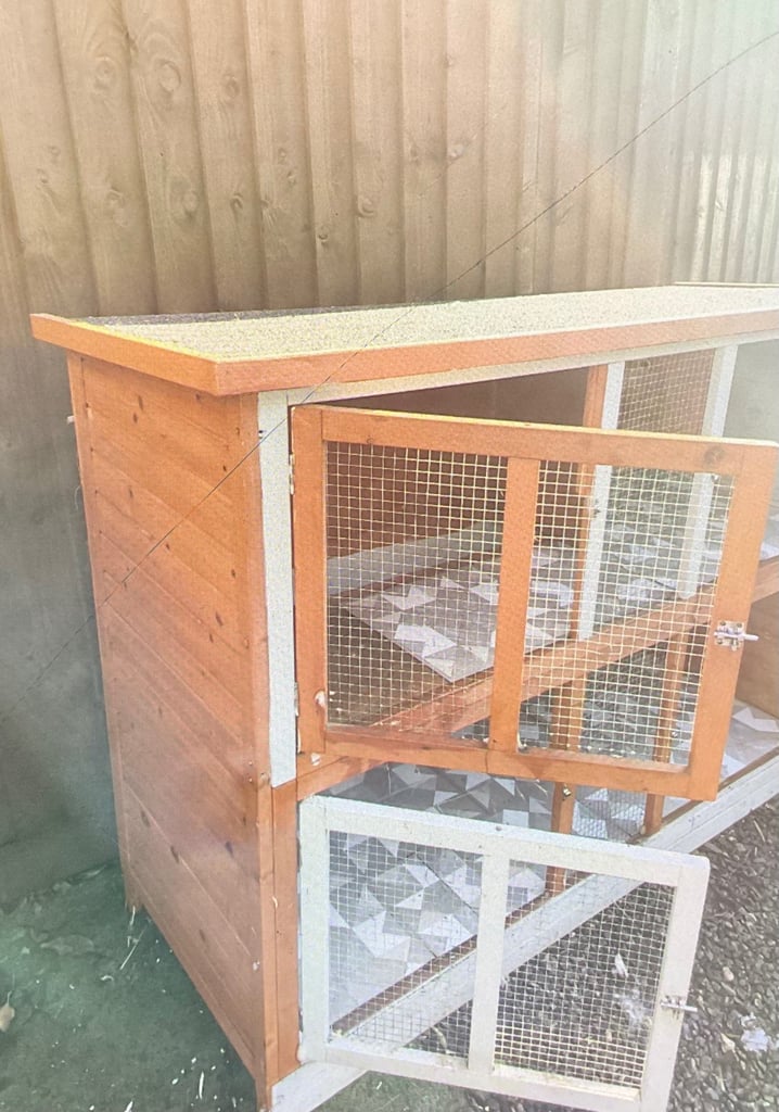 Guinea pig cage