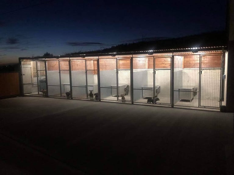 New galvanised dog cages pens enclosures  and kennels