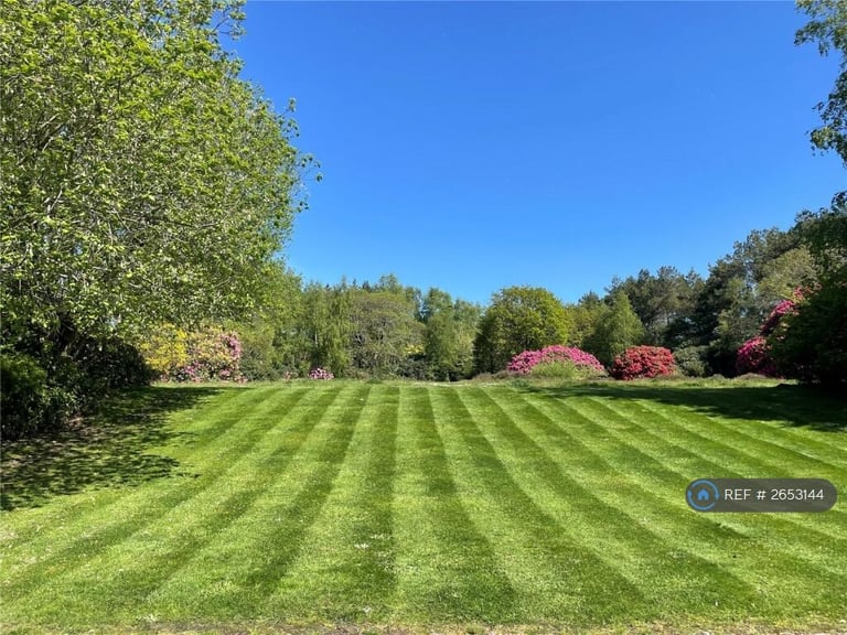 2 bedroom flat in Adams Walk, Midhurst, GU29 (2 bed) (#2653144)