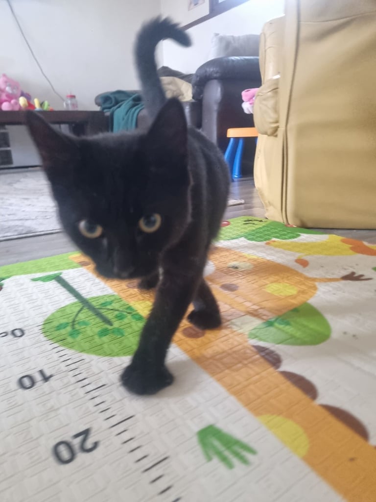 RESERVED. 6 months old. 