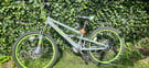 Appollo Creed Young Adult Bike