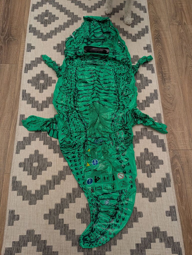 image for Inflatable Crocodile 