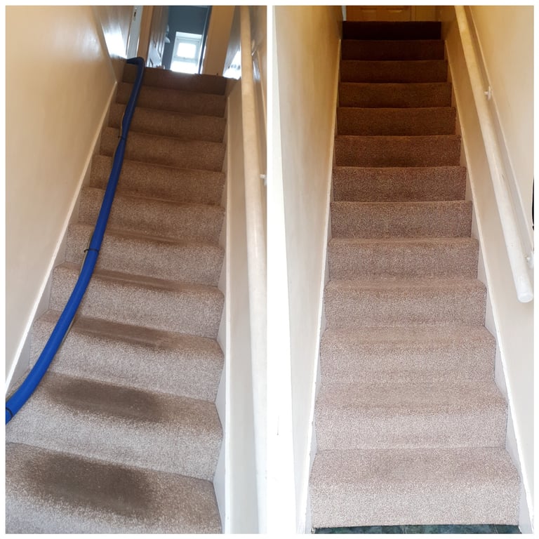 Carpet clean