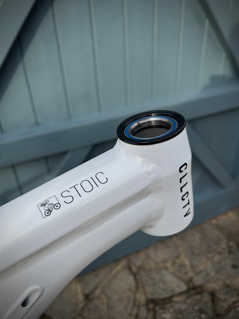 2024 Canyon Stoic Medium 29 Alloy ‘Guardian Angel’ Frame