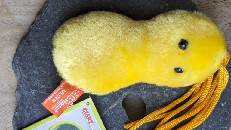 ​🦠 GIANT Microbes Plush Toy Collection - Science, Gags & Collectibles! (Bundle Price!)