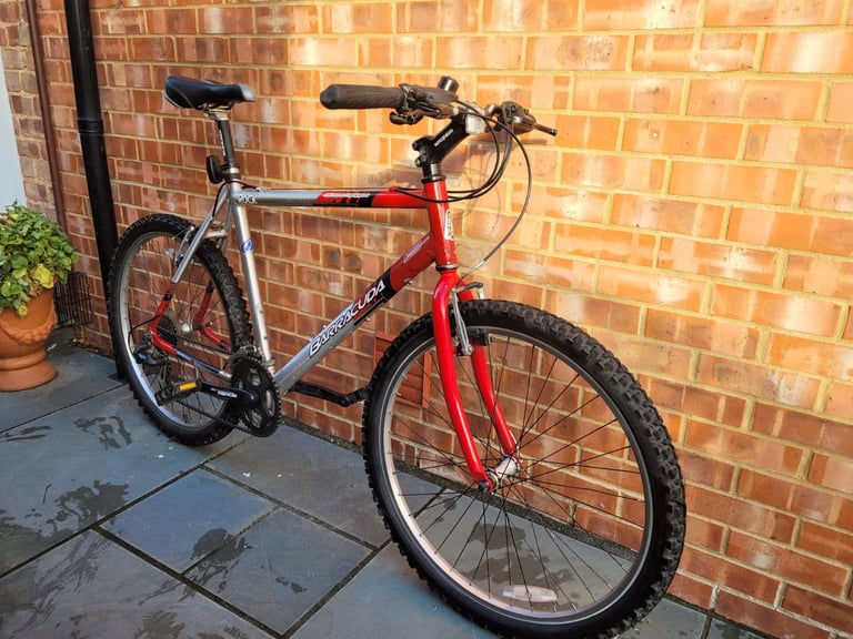 Mountain Bike