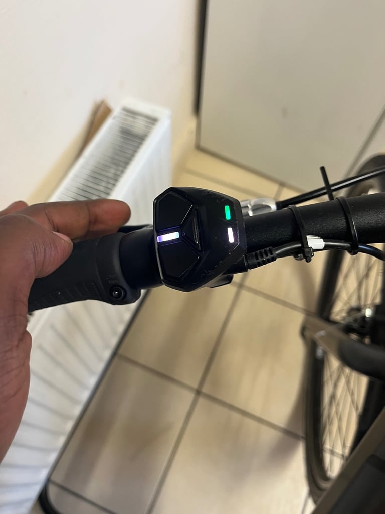 BARGAIN.!! Carrera Impel 1.1 Electric Bike 