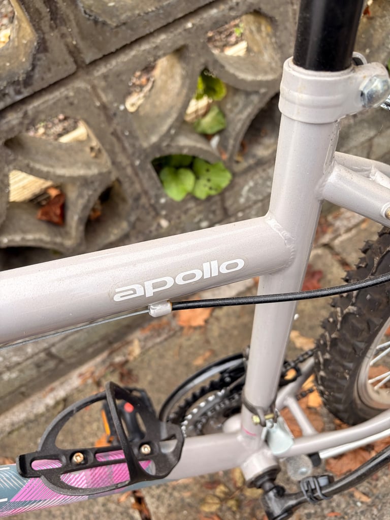 Ladies bike and carrier 